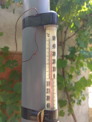 Прикрепленное изображение: IMG_20200702_151844_resize_87.jpg